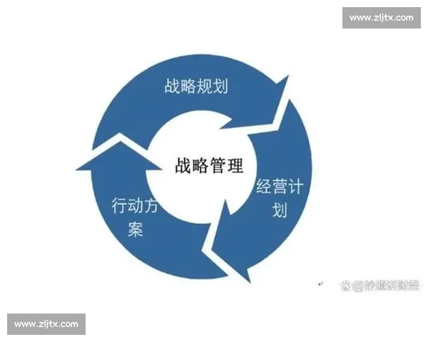 以战略眼光谋划未来发展实现持续竞争力提升的长远布局方案
